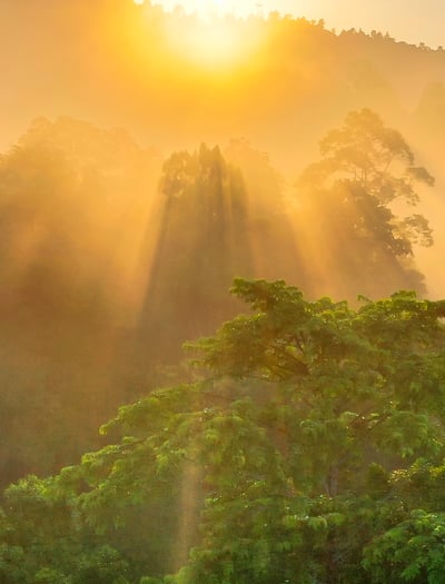 LORSUST23 Sunrise 913x1200