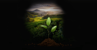 hero chapter chapter04